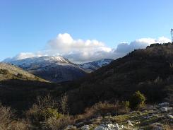 pic & puy from shepherds hut.jpg